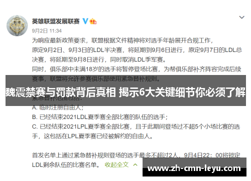 魏震禁赛与罚款背后真相 揭示6大关键细节你必须了解