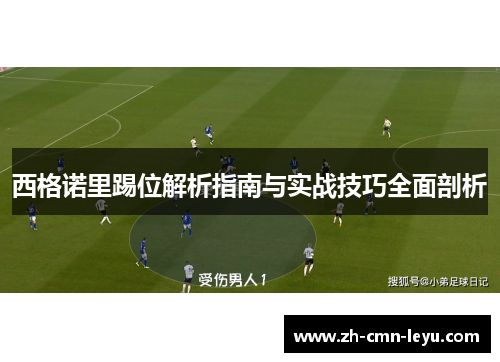 西格诺里踢位解析指南与实战技巧全面剖析